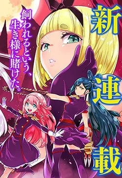 Truyện mato-seihei-no-slave