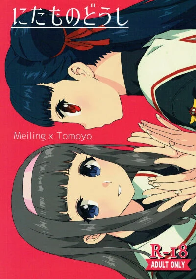 Truyện nitamono-doushi