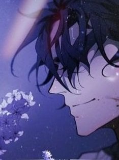 Truyện purple-hyacinth